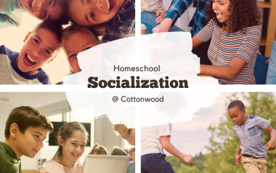Your Well-Socialized Homeschool Family