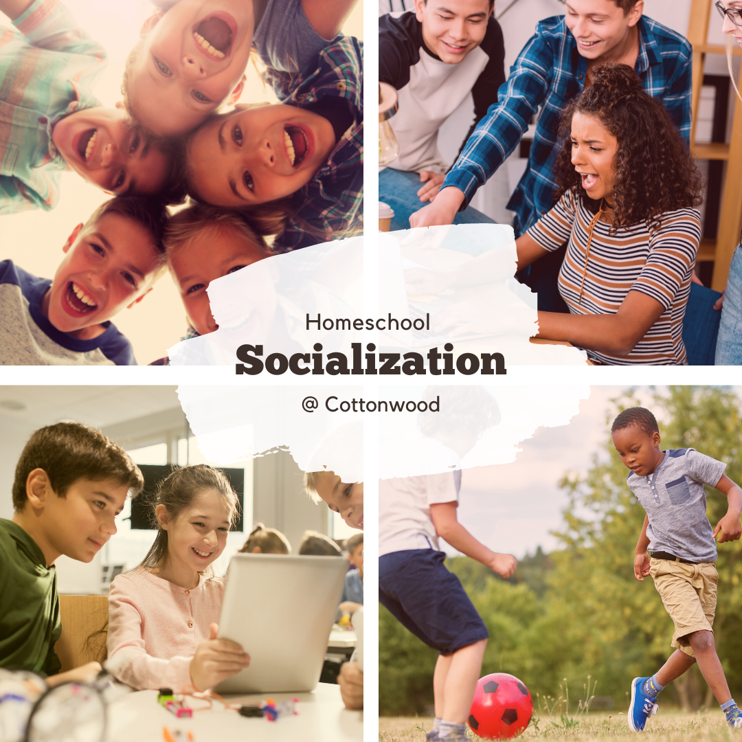 socialization graphic
