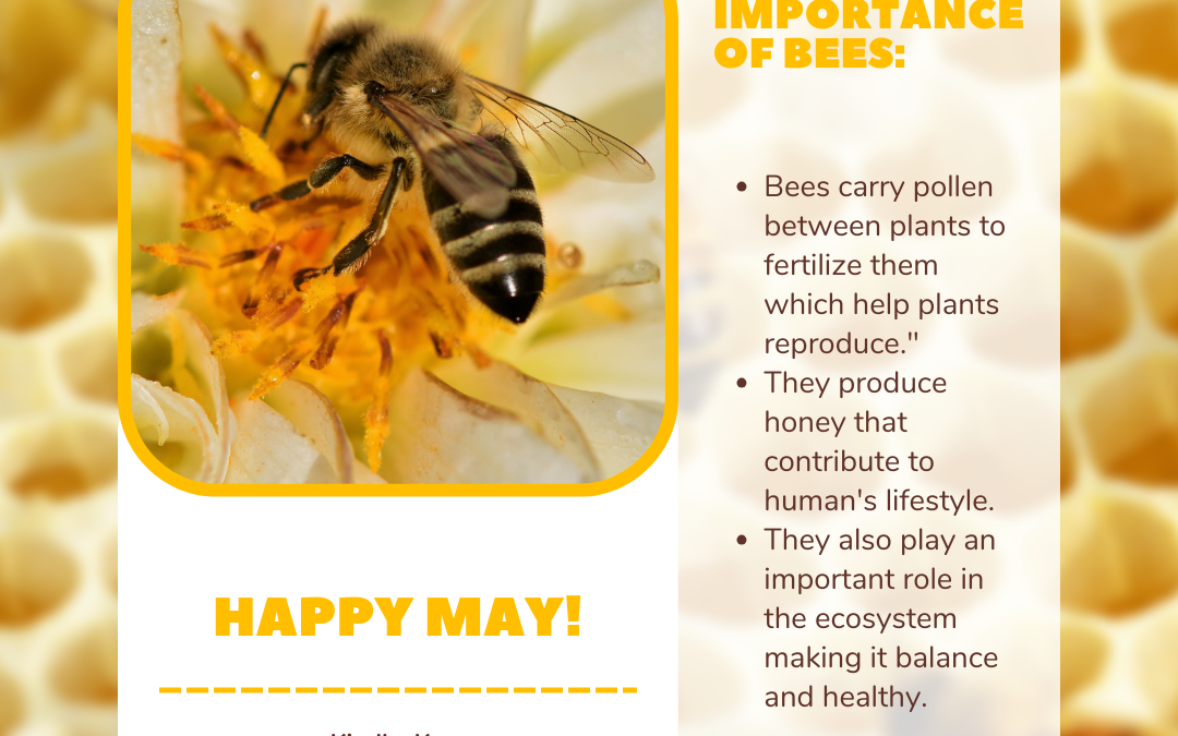 image of a bee on a flower with the words Happy May