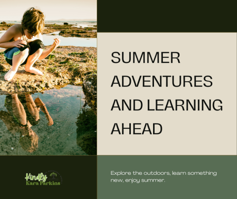 Embracing Summer Adventures and Learning - The Cottonwood School - Free ...