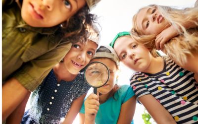 Let Curiosity Lead the Way